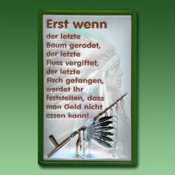 Prophezeihungs - Blechschild: ERST WENN ...