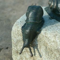 Weinbergschnecke kletternd, lebensgroß