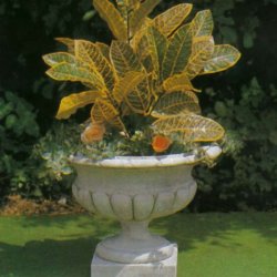  Vaso Smurano  - Pflanzschale
