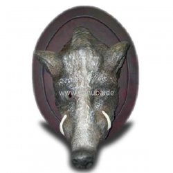 Wand - Figur Keiler - Kopf