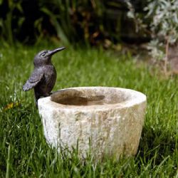 Kolibri, klein