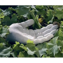 Vogelbad Hand