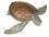 Garten-Figur Wasserschildkröte aus Bronze