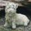 Deko-Figur für den Garten West Highland Terrier