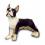 Tier - Figur Französische Dogge, stehend