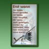 Prophezeihungs - Blechschild: ERST WENN ...