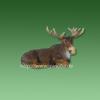 Garten-Figur Elch

	Material: ...