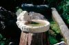 Vogelbad Frosch

	Aus Sandstei...