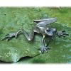 Frosch modern