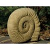 Deko-Figur für den Garten Small Ammonite