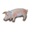 Das süße Schwein trägt ein Band ...