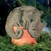 Drache Curley auf Blumentopf sit...