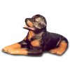 Hunde - Skulptur Rottweiler mit geneigtem Kopf