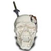 Vampir - Totenkopf mit Dolch und...