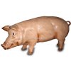 Tier - Figur Schwein