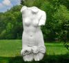 Torso FrauDas Material ist wette...