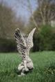 Gartenfigur, Hockende Engelfrau ...