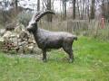 Tier - Dekofigur Steinbock